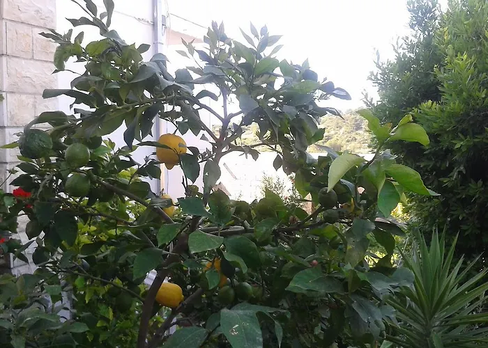 Vendégház And Jasna 3*