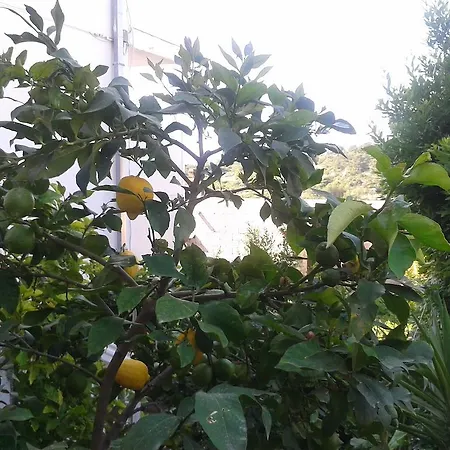 Pensionat And Jasna 3*