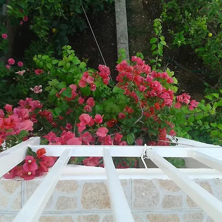 And Jasna Πανσιόν 3*