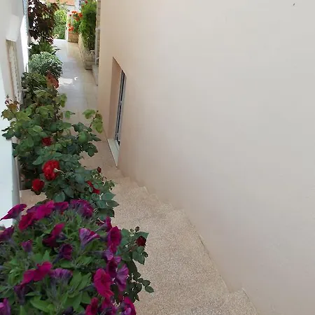 بيت ضيافة And Jasna