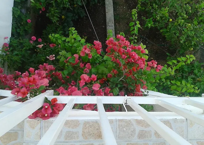 And Jasna Guest house 3*