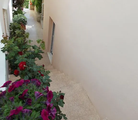 Guest house And Jasna